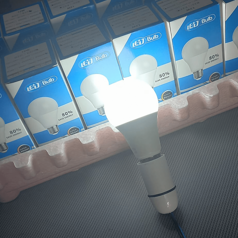 Ampoule LED d'urgence (Bulbe série LED)